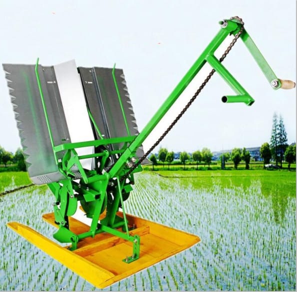 Machine a planté le riz